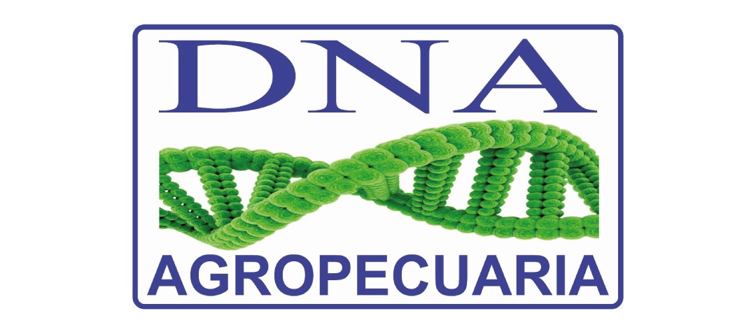 DNA